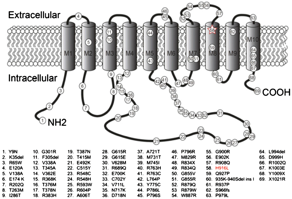 jkna-33-3-133f3.gif