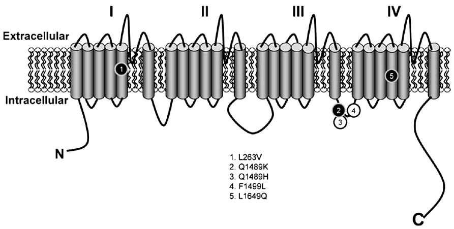 jkna-33-3-133f4.gif