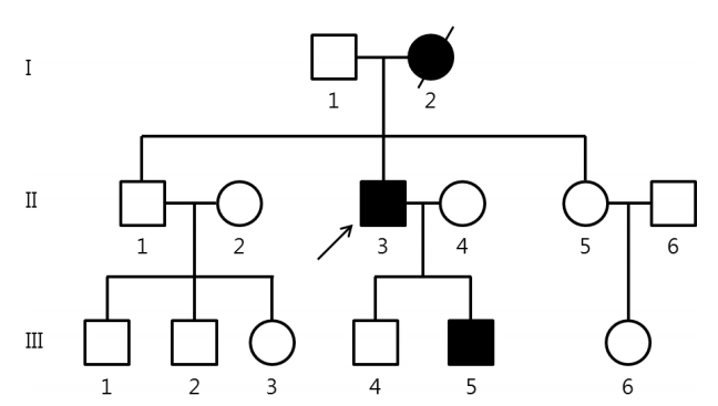 jkna-33-4-321f1.gif