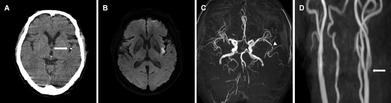 Figure 1.
