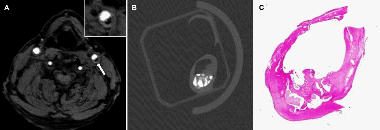 Figure 3.
