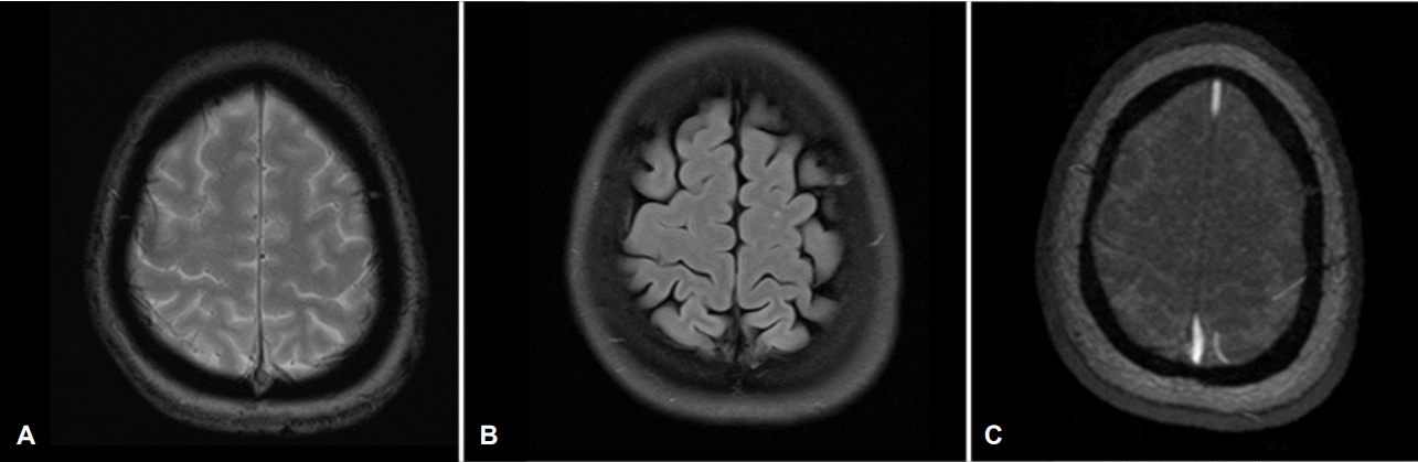 Figure 3.