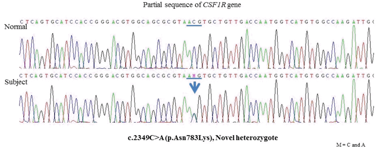 Figure 2.