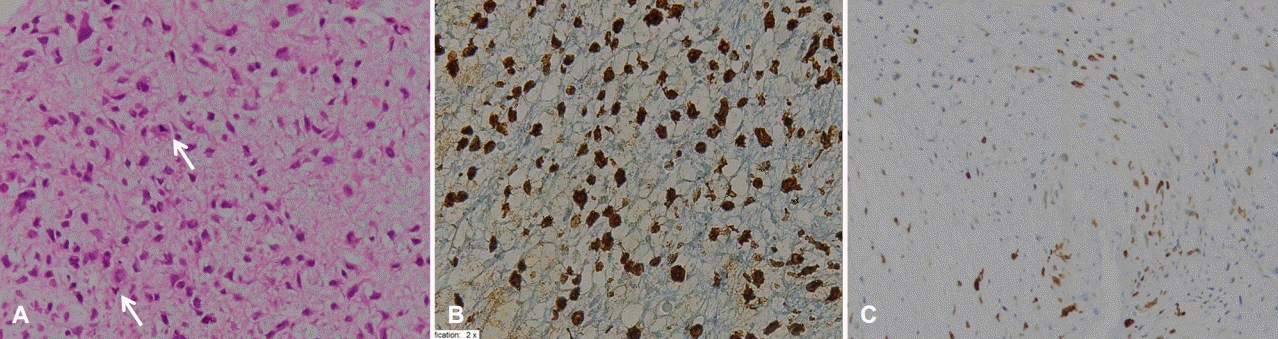 Figure 3.