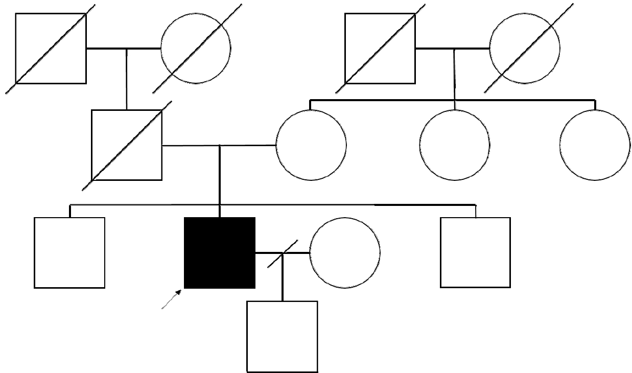 jkna-40-4-322f1.jpg