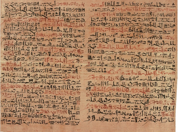jkna-44-3-246f1.jpg