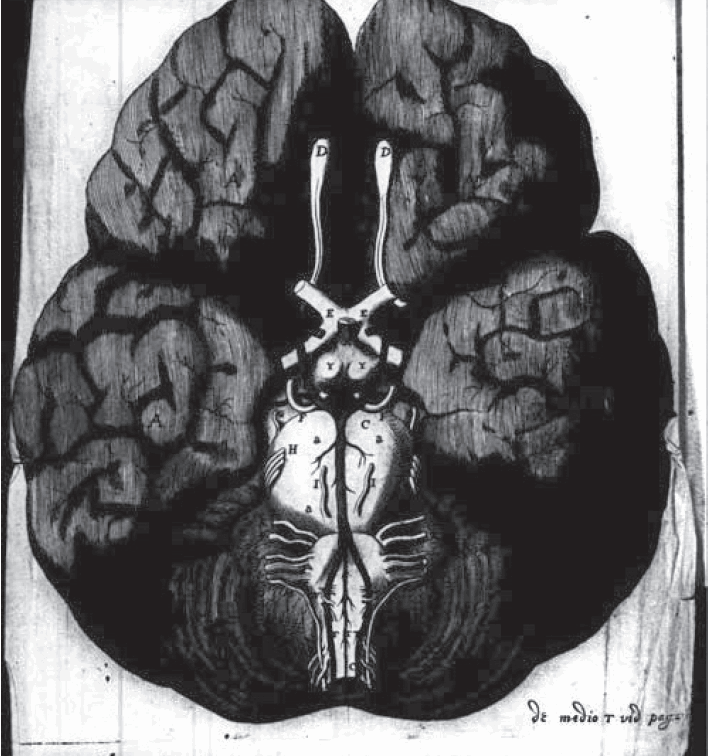 Figure 4.